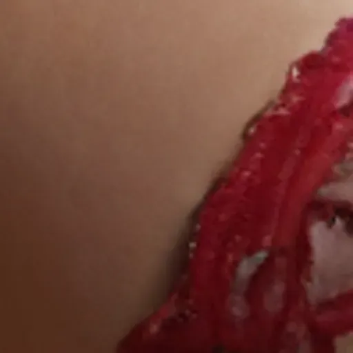 Penghasil gambar lucah AI