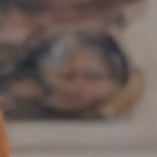 AI porn pic generator