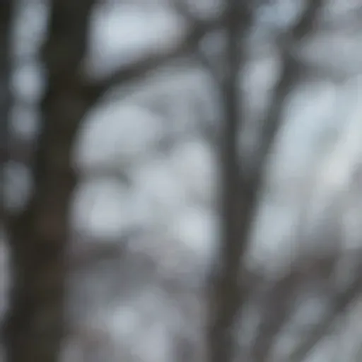 Penghasil gambar lucah AI