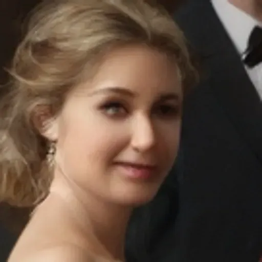 Penghasil gambar lucah AI