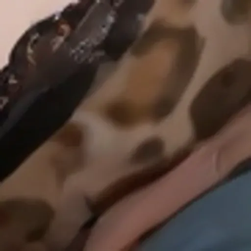 générateur de photos porno IA