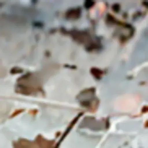 générateur de photos porno IA