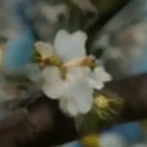 generatore di foto porno IA