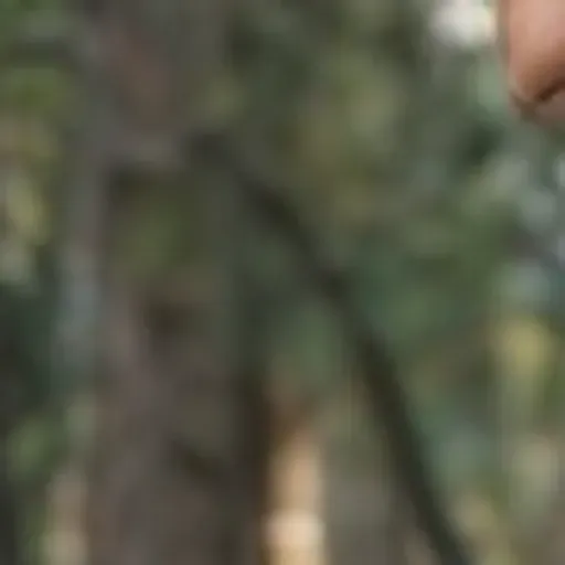 générateur de photos porno IA