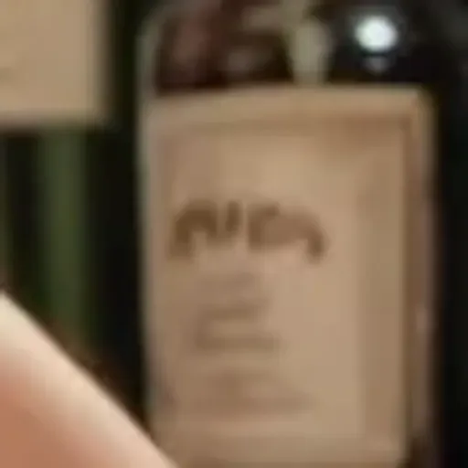 generatore di foto porno IA