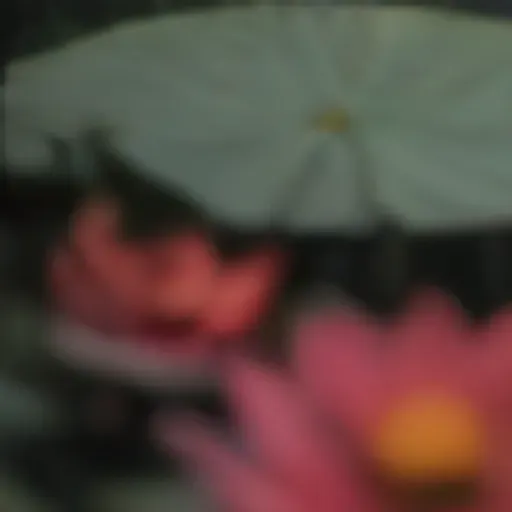 générateur de photos porno IA