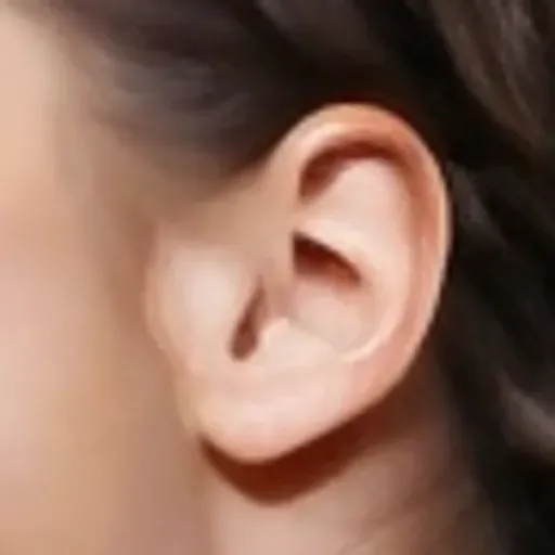 Penghasil gambar lucah AI