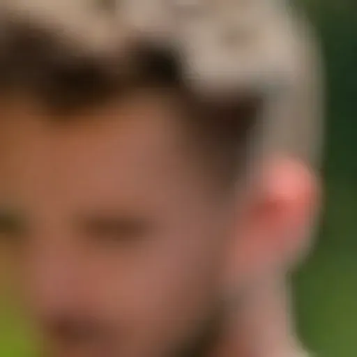 ตัวสร้างรูปโปรโมชั่น AI