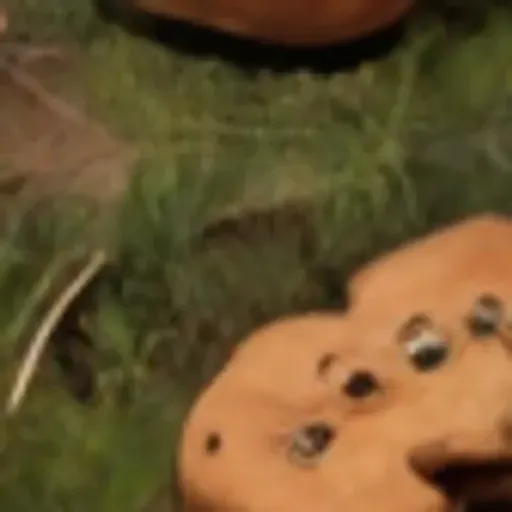 générateur de photos porno IA