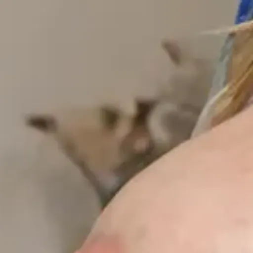 générateur de photos porno IA