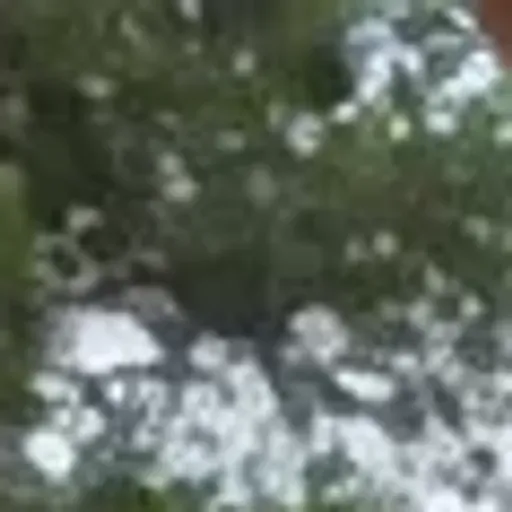 KI-Pornobildchen-Generator