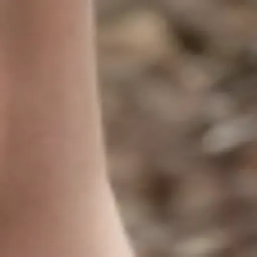 générateur de photos porno IA