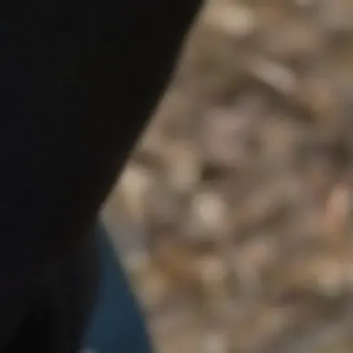 générateur de photos porno IA