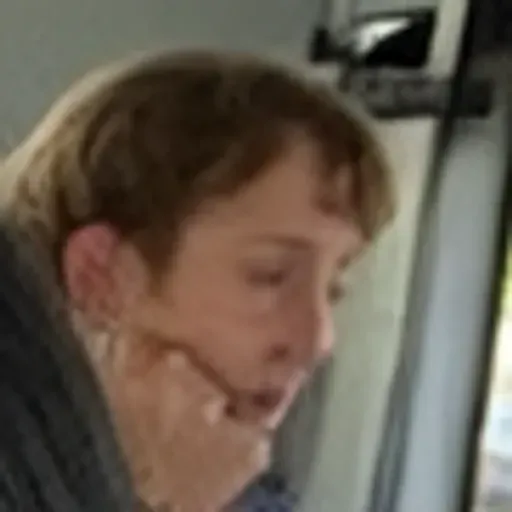 Penghasil gambar lucah AI