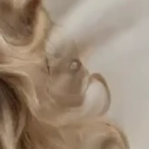 gerador de fotos pornô com IA