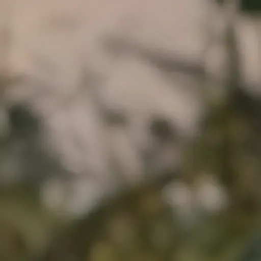 générateur de photos porno IA