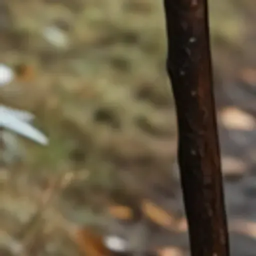 Penghasil gambar lucah AI