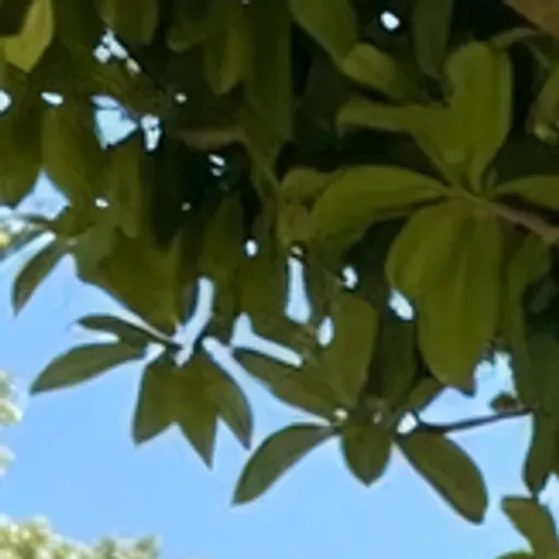 AI色情照片生成器
