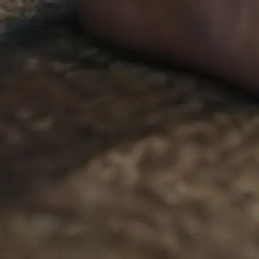 yapay zekâ porno foto üretici